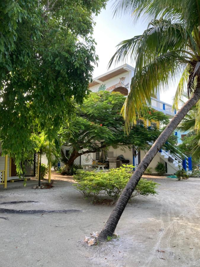 Hotel Jaguar Morning Star Caye Caulker Zewnętrze zdjęcie
